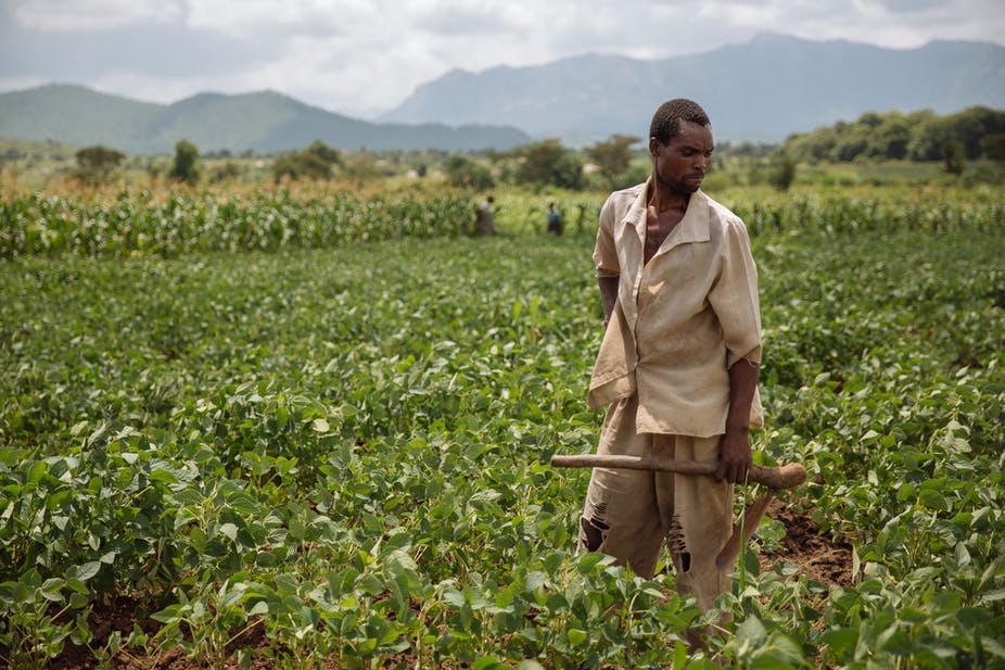 Pula has raised US$ 6 million funding to de-risk millions of smallholder farmers across Africa.  