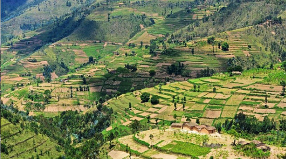 Figures from RLMUA show that 9,965,648 plots of land have been registered since 2009 when the land registration exercise began. 