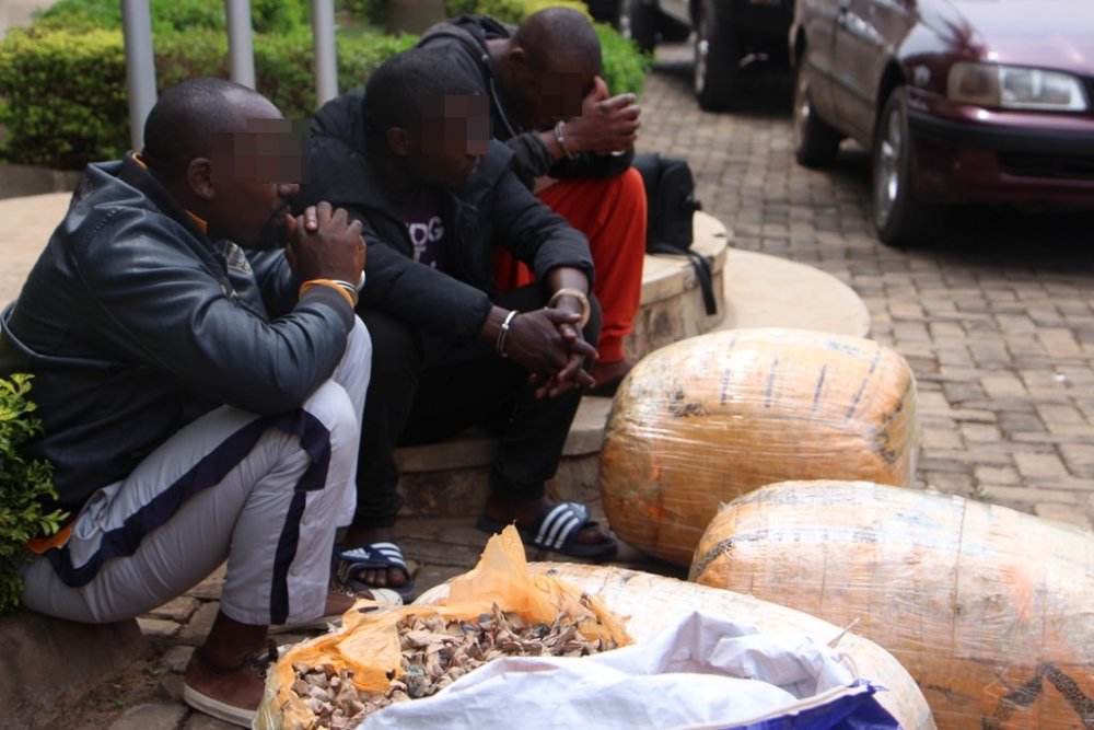 It is not the first time Harerimana has been arrested in drug related crimes.
