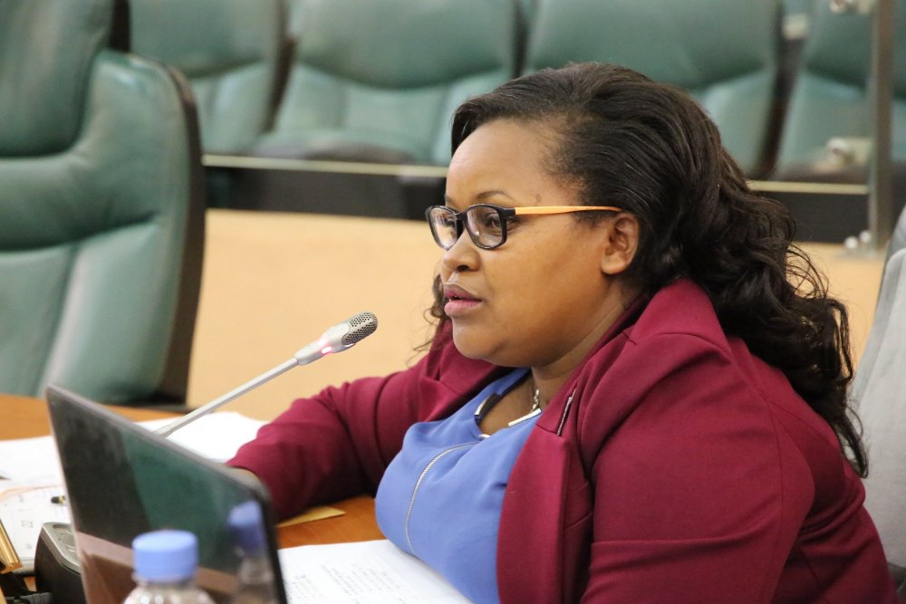 The Senate Committee on Social Affairs, Human Rights Biro had Umuhire Adrie as the chairperson