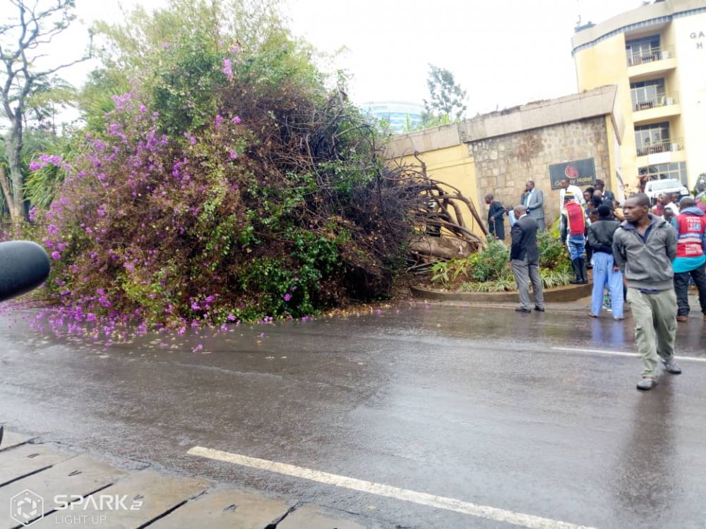 The rain was predicted at the precipitation of between 10 and 25mm per day.