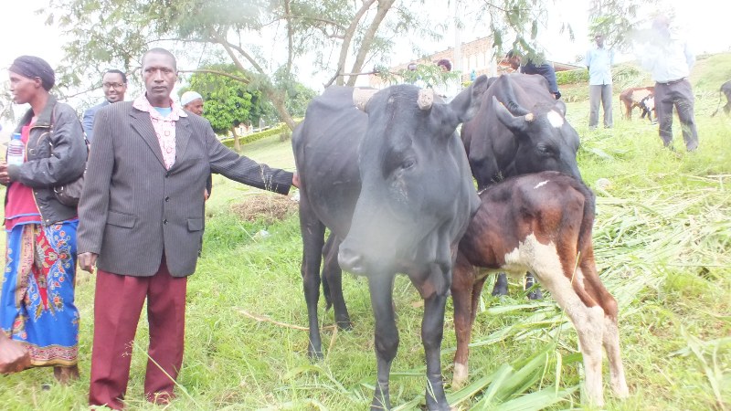 Beneficiaries along with some of donated cows