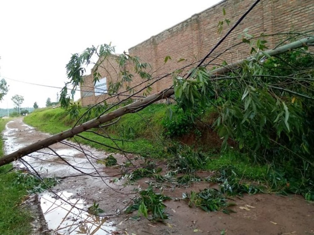 Residents’ gardens of bananas, cassava and sorghum were also swept.