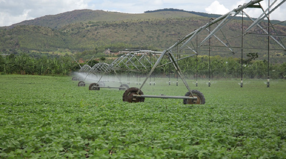 Irrigation schemes are helping small farmers store and use water more efficiently in Eastern Province.