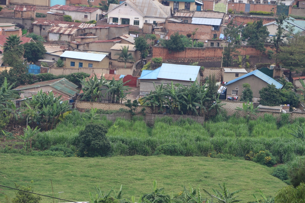 Part of Nyirumuringa's land where MP Hindura Jean Pierre and his wife Mukunde Angelique have a cattle farm.