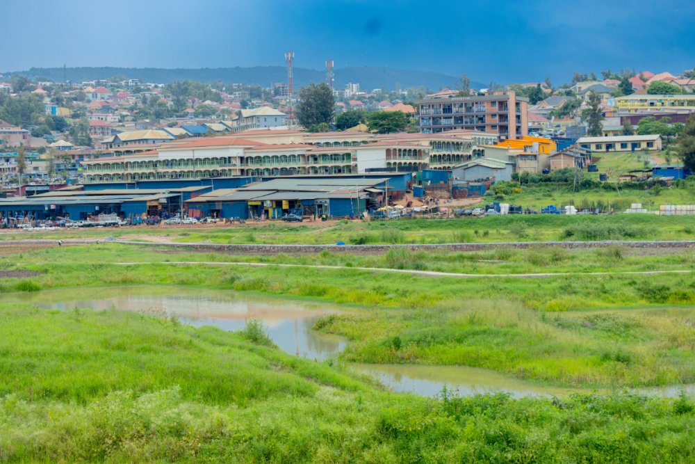 The total area under restoration spans 491 hectares, with Gikondo covering 162 hectares, Nyabugogo 131 hectares, Kibumba 68 hectares, and Rugenge-Rwintare 65 hectares.
