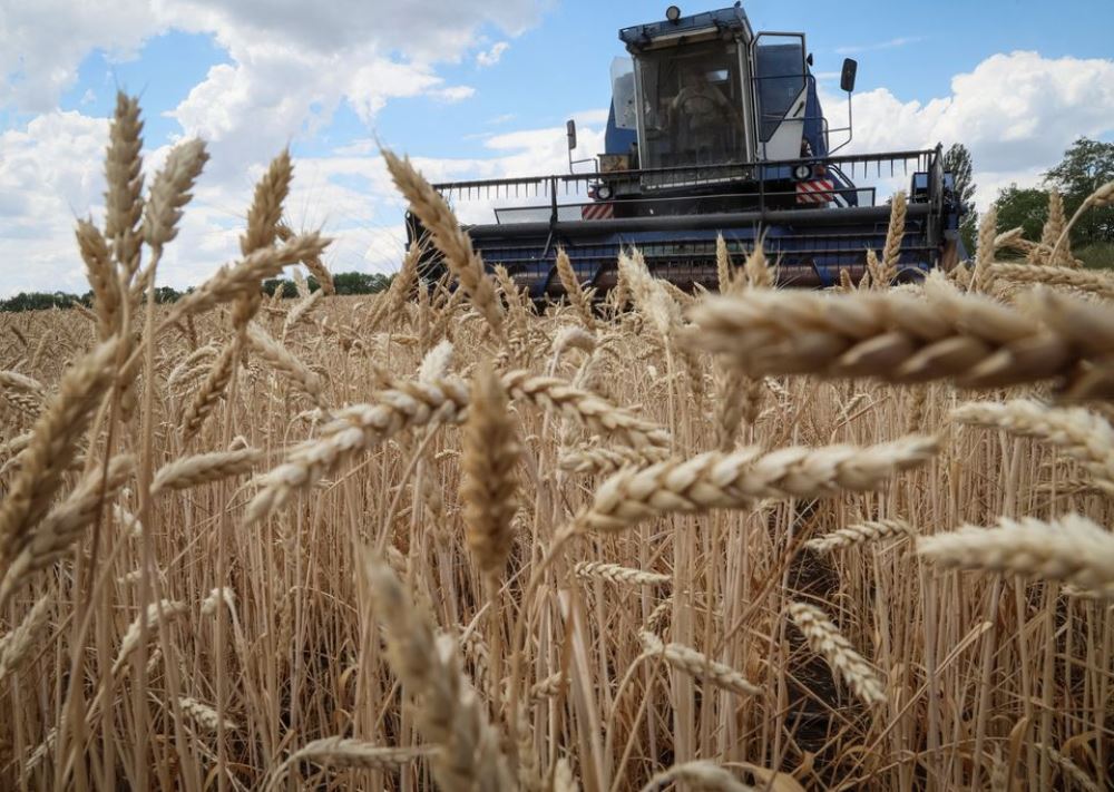 Russia has confirmed that the grain export deal has been extended for two months. Photo Reuters  