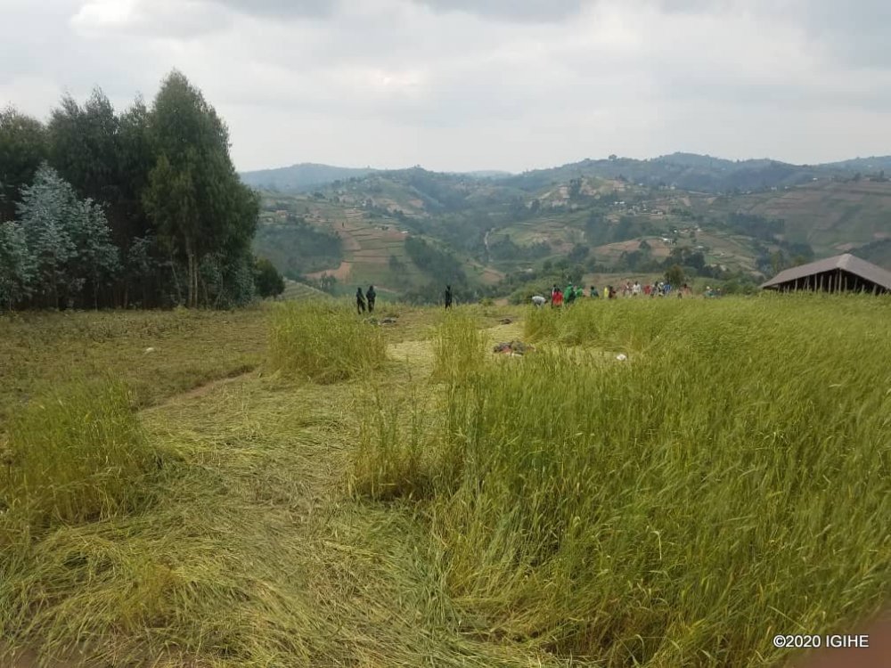 The gunmen attacked from Burundi and they fled back in the same direction.