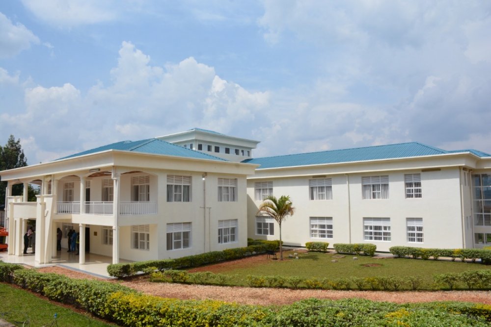 11 coronavirus patients discharged from hospital