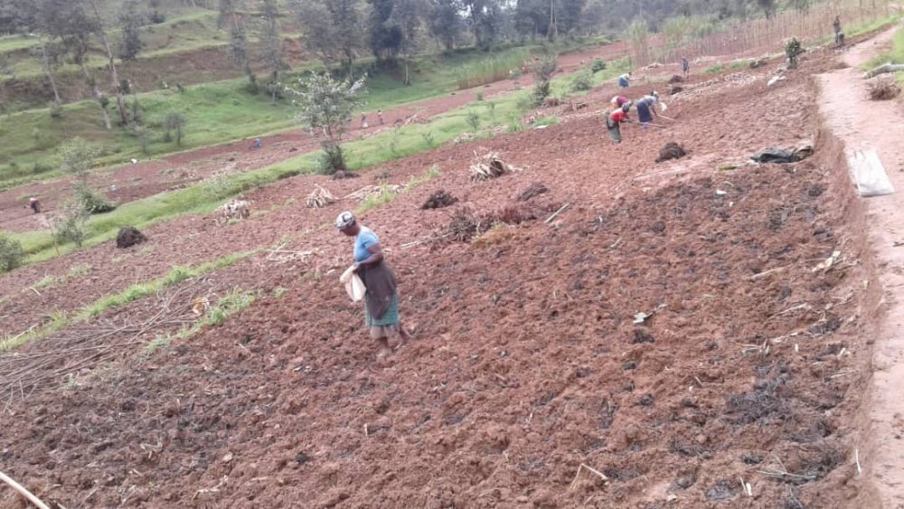Although farmers will keep working, they were advised to implement hygiene measures and abide by health authorities' guidance