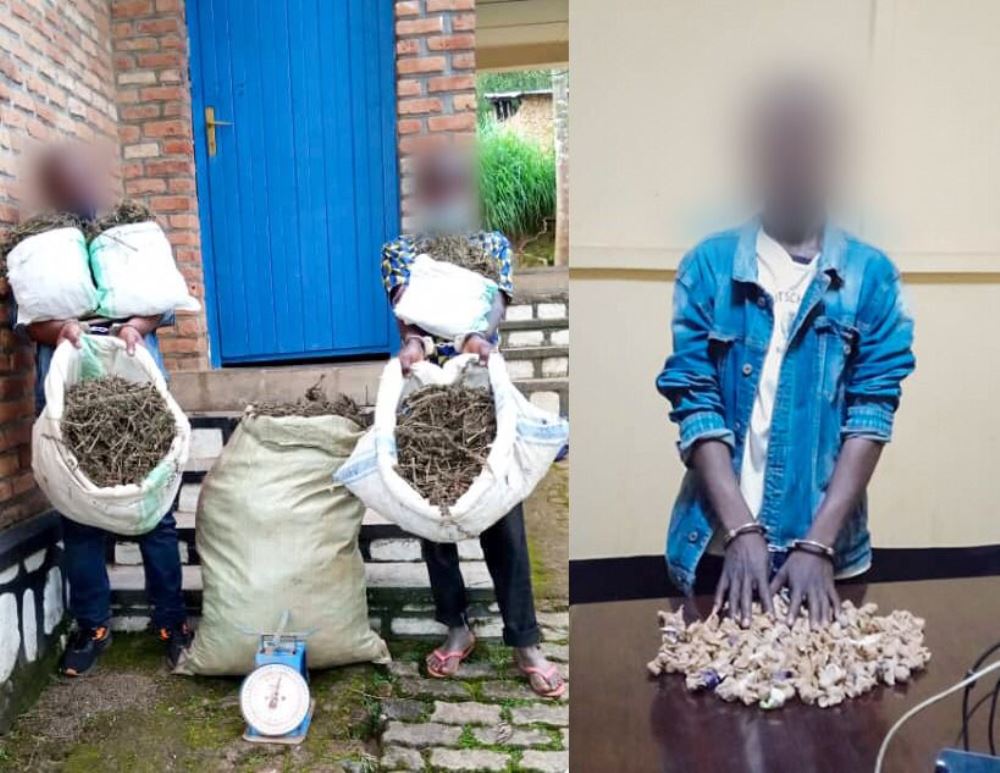 Three have been arrested with over 30kgs of cannabis. 