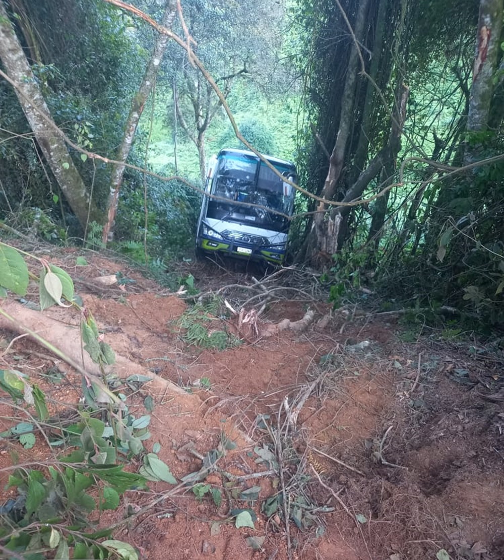 The bus carrying passengers fell below the road. 
