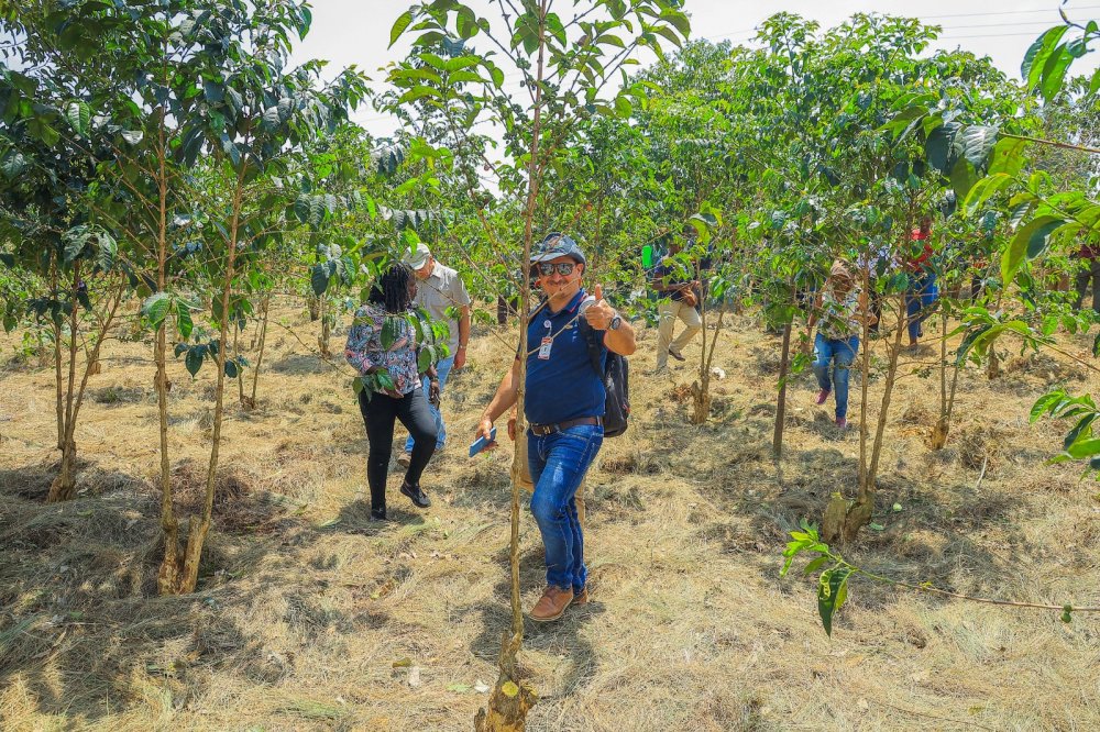 Visitors toured different coffee plantations.  