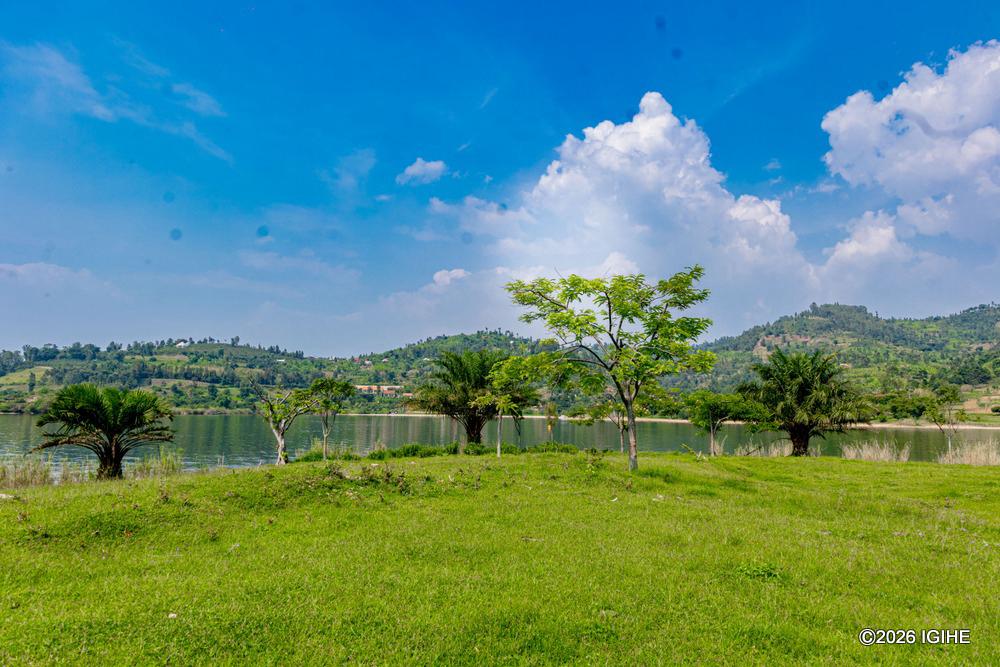 Lush forests in Rutsiro surround Umutuzo Lodge.