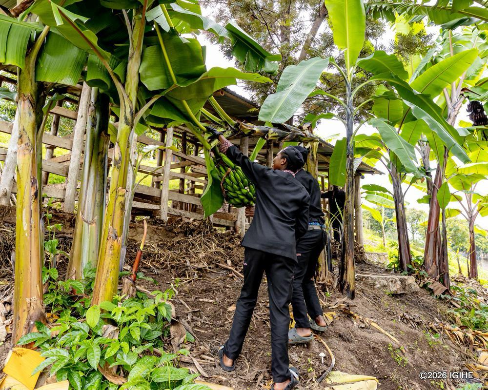 Most of the food prepared at the lodge is grown in the surrounding area.