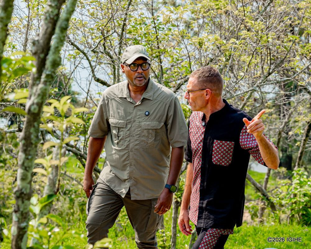 Guests can spot wildlife, including birds, small antelopes, and monkeys around Umutuzo Lodge.