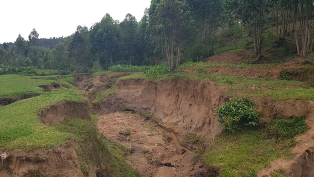 TI-Rwanda report documents how poor water management systems are leading to significant harm to local ecosystems, agricultural lands, and citizens' properties and livelihoods.