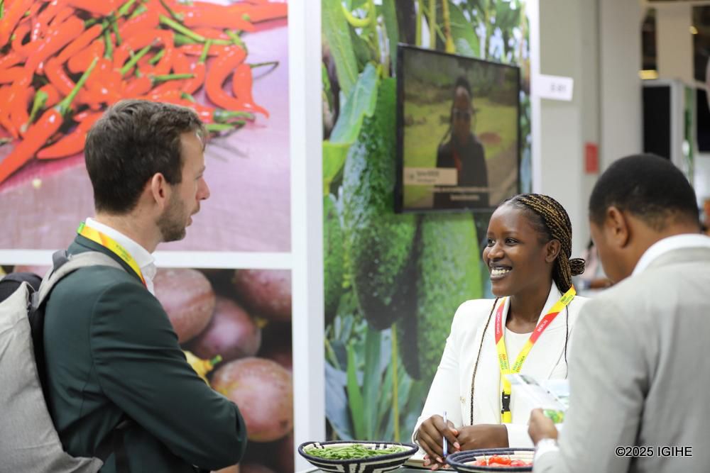Fruit Logistica serves as a vital hub for the entire fresh produce value chain, connecting growers, suppliers, buyers, distributors, logistics experts, and innovators.