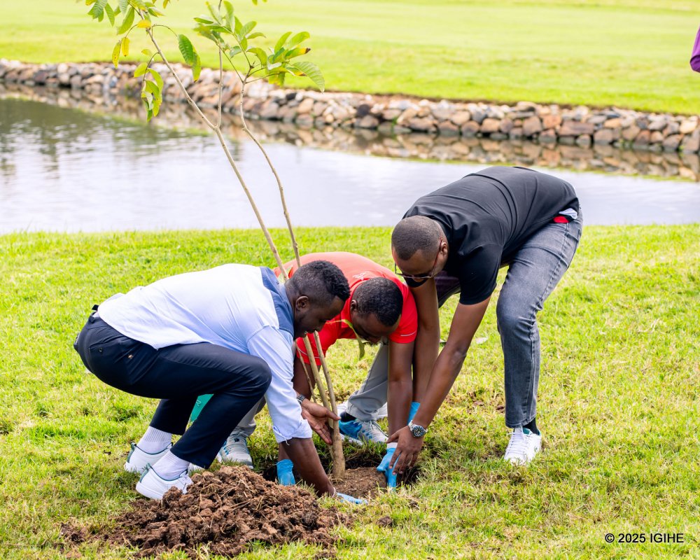 The agreement includes the planting of over 10,000 trees.