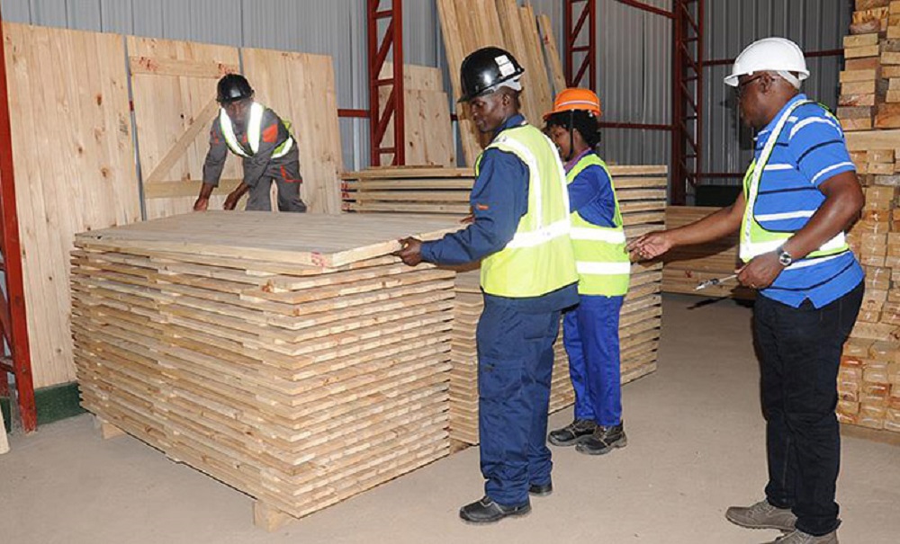 Enterprises involved in wood processing are set to benefit from two-year programme.