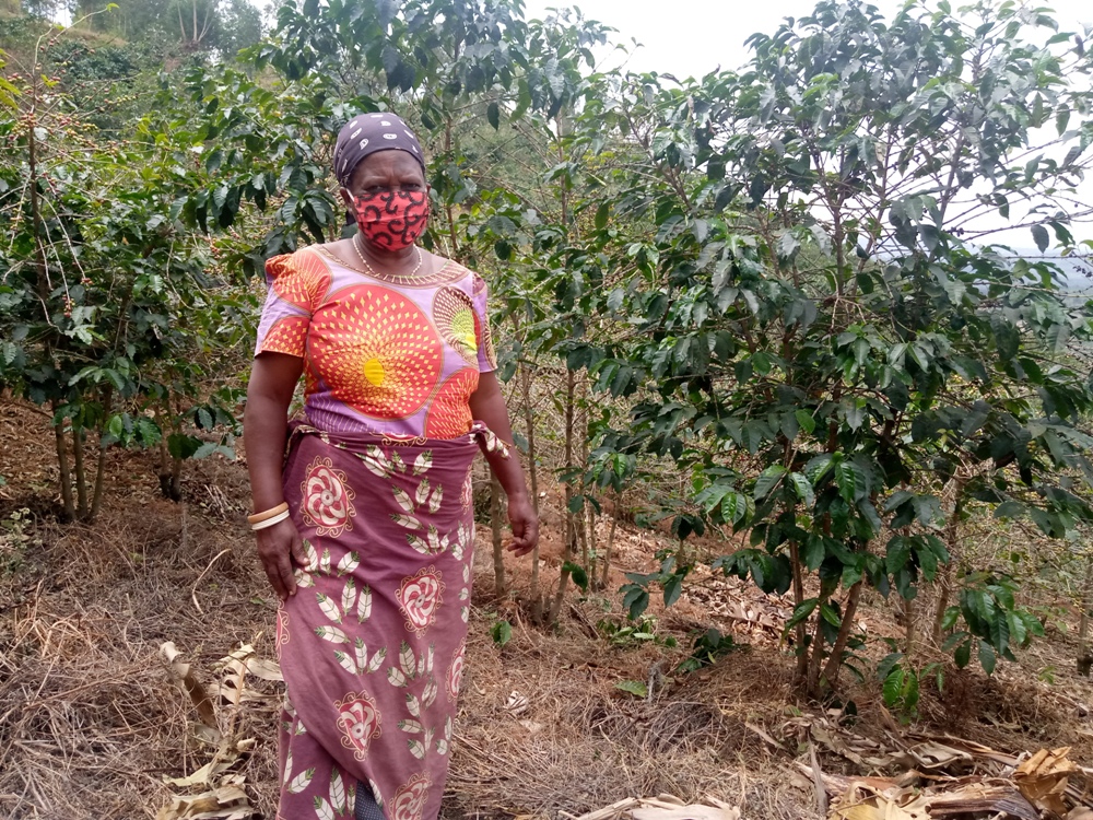 Kagirinka Cecile says coffee helped her raise her children, pay for their education until all of them graduated and got married