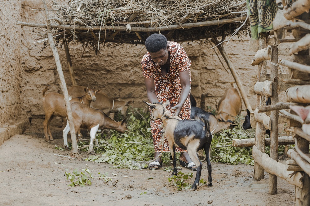 Yamfashije Pelagie rears small livestock.