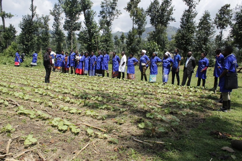 RDI provides trainings with keen interest on value addition, linking farmers to markets, attractive agriculture diversification and providing effective extension services.
