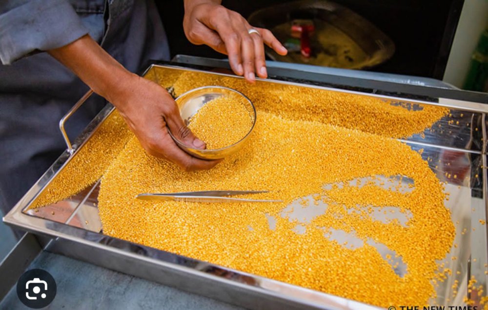 Rwanda continues to strengthen its mining sector with several processing plants designed to add value to its minerals before export. These include the Gasabo Gold Refinery, which processes 96 tons of gold annually.